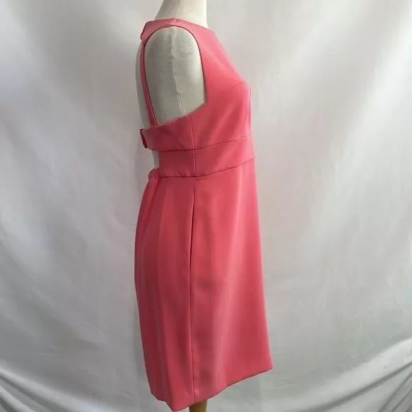 Diane Von Furstenberg NWT Pink Dress with Cutout Back