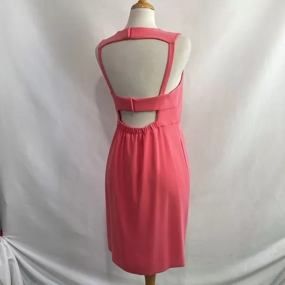 Diane Von Furstenberg NWT Pink Dress with Cutout Back